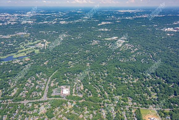 4012-quail-forest-air-2361