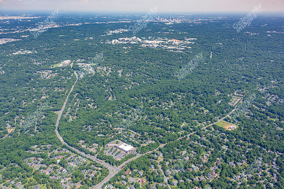 4012-quail-forest-air-2370