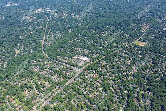 4012-quail-forest-air-2372