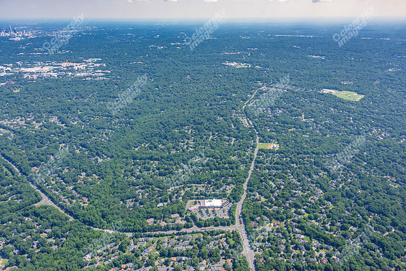 4012-quail-forest-air-2376