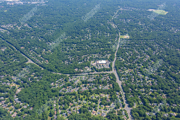 4012-quail-forest-air-2381