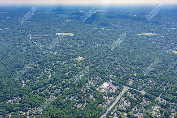 4012-quail-forest-air-2383