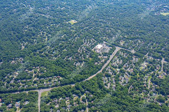 4012-quail-forest-air-2387