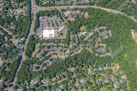 4012-quail-forest-air-2390