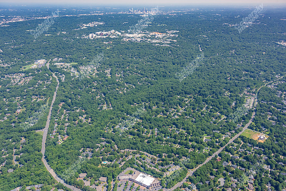 4012-quail-forest-air-2395
