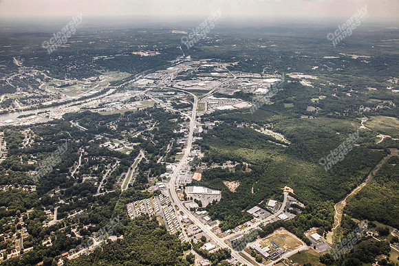 piney-forest-0714-360