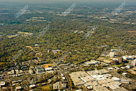 ashley-park-a-381