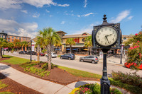 1231-hadley-area-7382