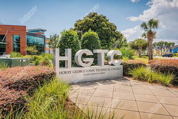 1231-hadley-area-7445