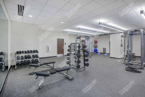 301-s-mcdowell-int-0319