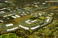 forest-point-011312-a-8142b