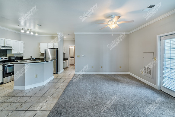 100-delaney-int17333
