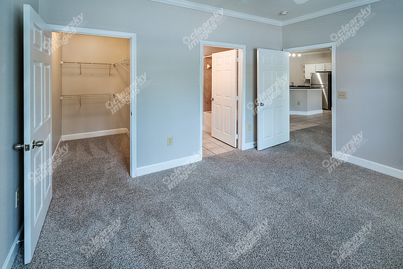 100-delaney-int17348