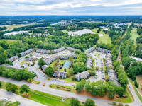 350-powell-drn28791