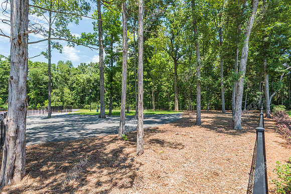 carolina-orchards-dogpark-ext-9026