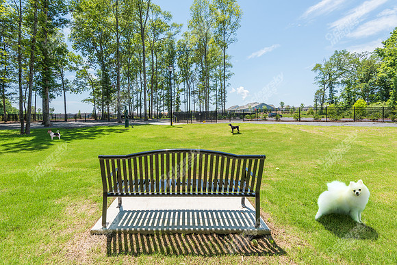 carolina-orchards-dogpark-ext-9068E