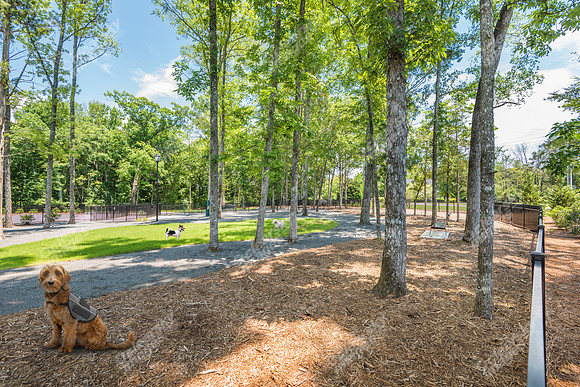 carolina-orchards-dogpark-ext-9014E