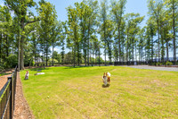 carolina-orchards-dogpark-ext-8987E