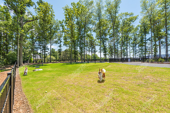 carolina-orchards-dogpark-ext-8987E