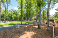 carolina-orchards-dogpark-ext-9014