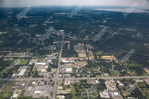9235-pine-forest-air9337