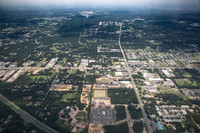 9235-pine-forest-air9346