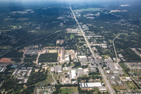 9235-pine-forest-air9354