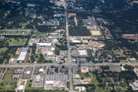 9235-pine-forest-air9360