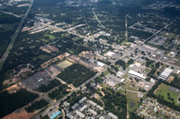9235-pine-forest-air9374