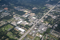 9235-pine-forest-air9381