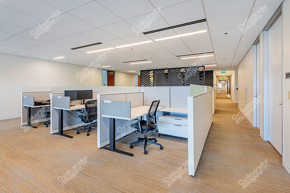 13320-ballantyne-int4071