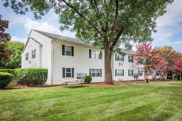 1925-pine-bough-ext1384