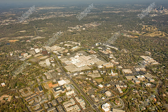 ashley-park-a-414