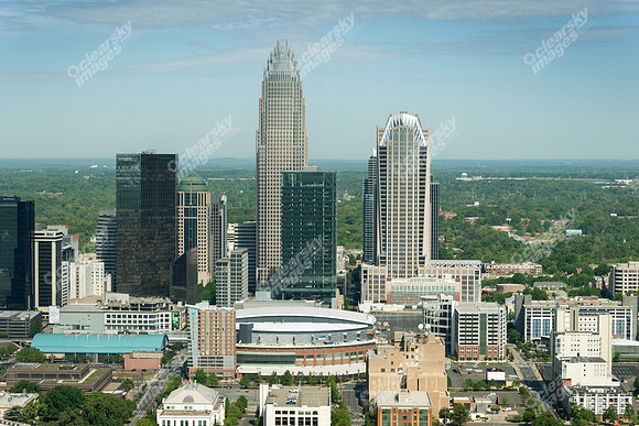 charlotte-cbd-h-0743