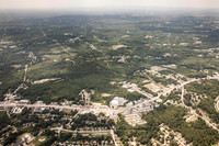 piney-forest-0714-356