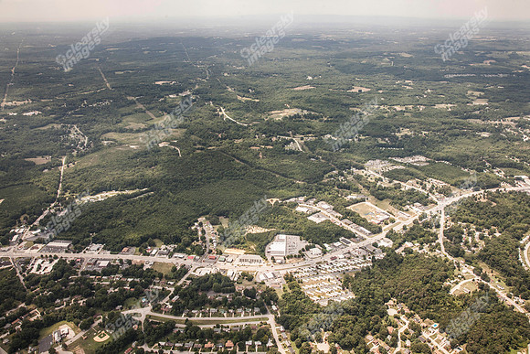 piney-forest-0714-356