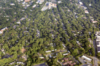 martha-washington-air-8904