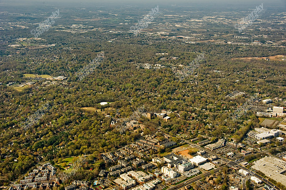 ashley-park-a-372