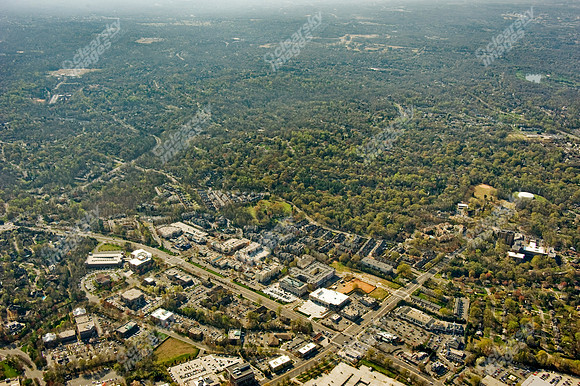 ashley-park-a-273