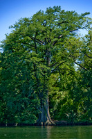 austin-tx-501