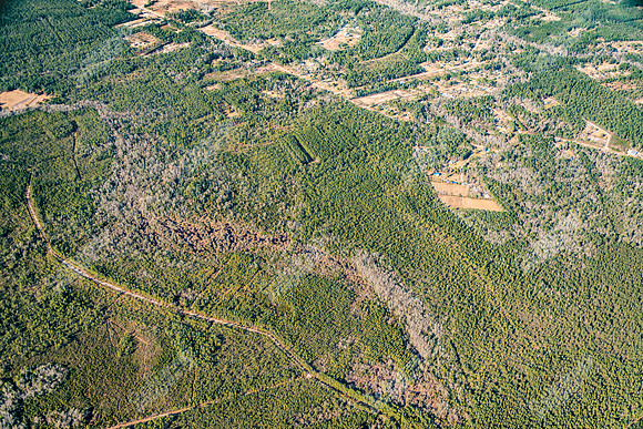 160-great-oak-air-7588