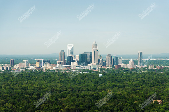charlotte-cbd-h-0660