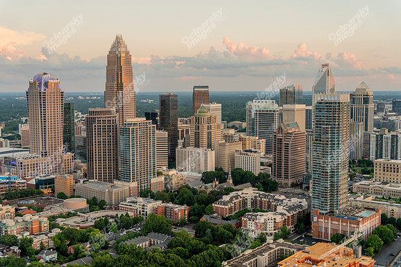 CLT-CBD-070325-8401