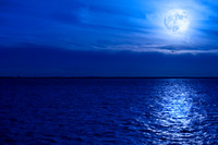 Chesapeake Bay