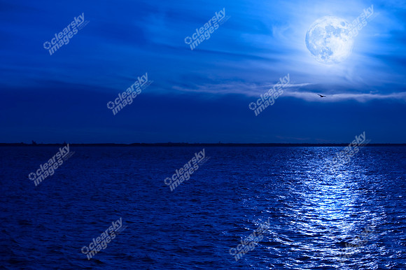 chesapeake-bay-830