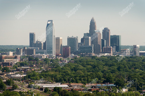 charlotte-cbd-h-0810