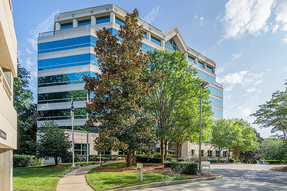3200-beechleaf-ext15079