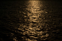 chesapeake-bay-769