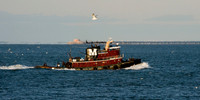 chesapeake-bay-635