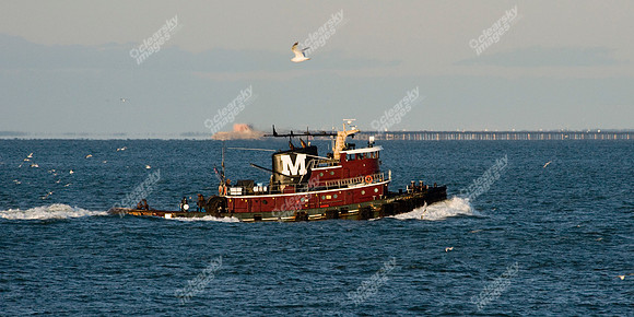 chesapeake-bay-635